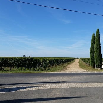 Château Gazin - View - Wineries Near Me - Pomerol, 33