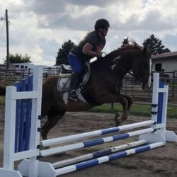 Pine Hollow Stables