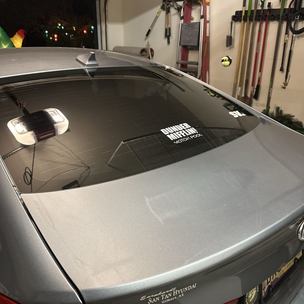 My freshly tinted windows My freshly tinted windows