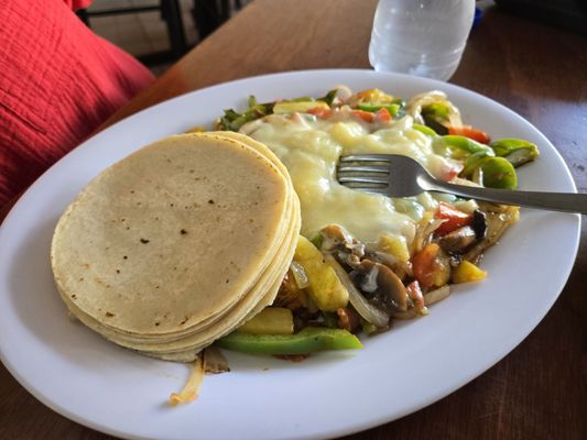 TACOS JUNIOR by null