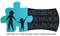 Steinberg Behavior Solutions - grief counselor in Chicago, IL