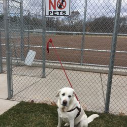 Keith Sports Park - Oops