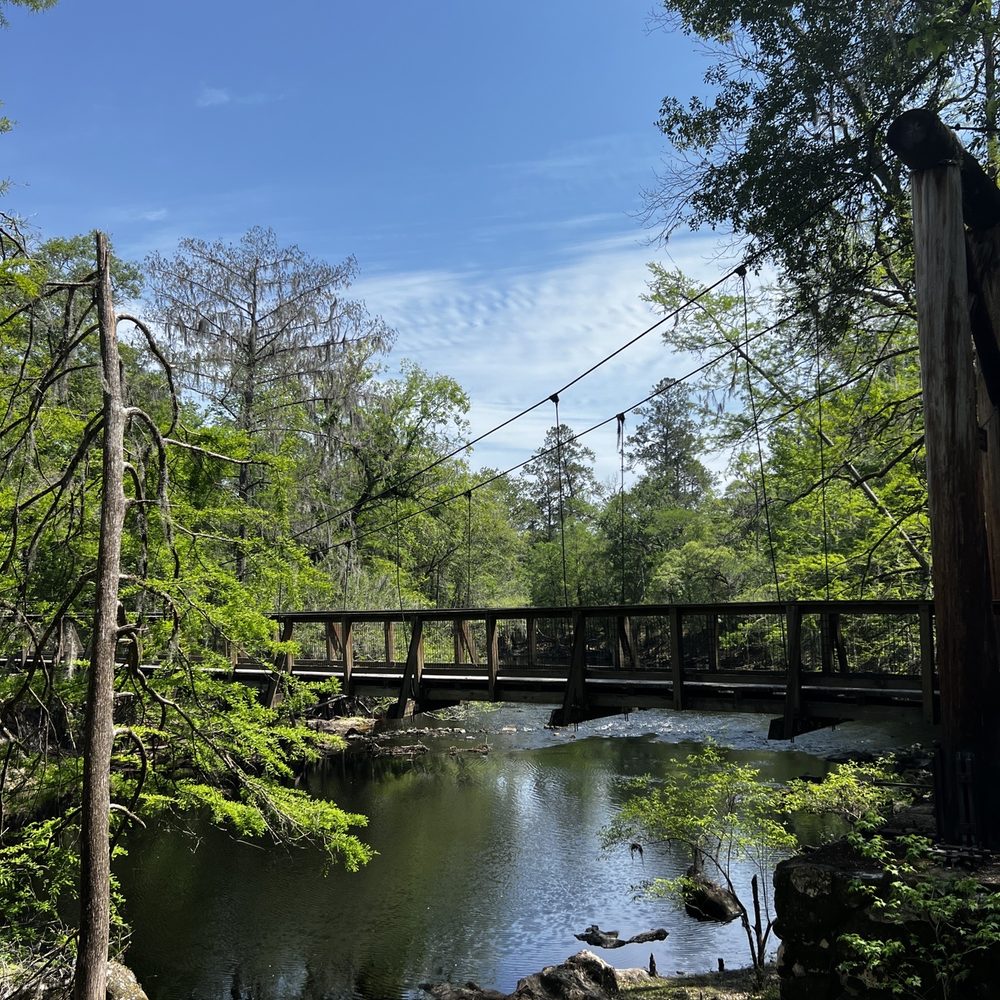 O'Leno State Park - Parks Near Me - High Springs, Florida O'Leno State Park - Parks Near Me - High Springs, Florida