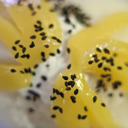 Kien-Du-Kiang-Thong