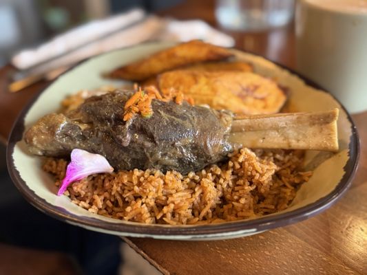 Baobab Fare by null