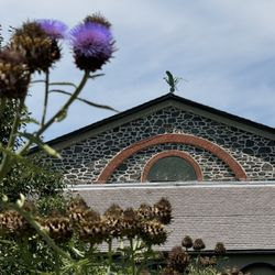 Hagley Museum & Library - Interesting weather vane on top of barn