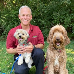Bark Busters Home Dog Training Louisville