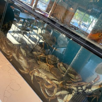 Cajun Crack'n - Live Seafood - Seafood Near Me - Milpitas, California Cajun Crack'n - Live Seafood - Seafood Near Me - Milpitas, California