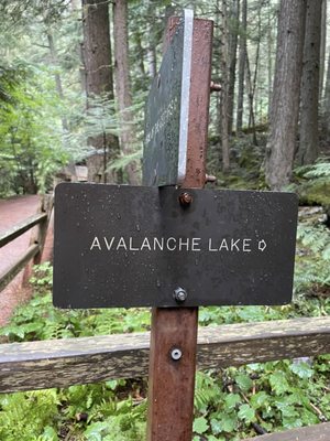 Avalanche Lake by null