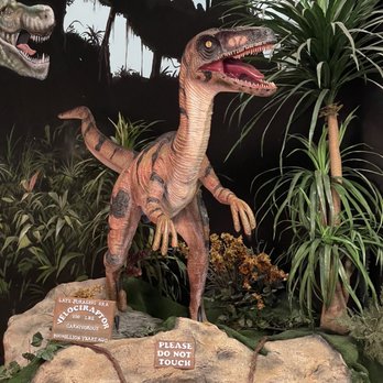 Lost Worlds - Laser Tag Near Me - Livermore, California