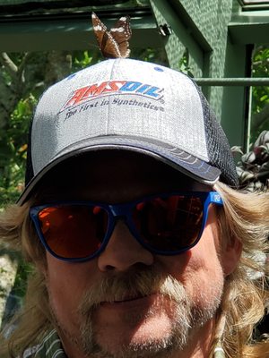 Wings of Mackinac by null