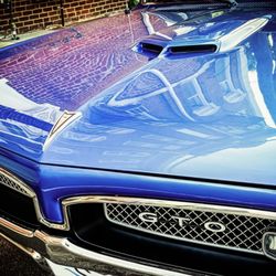 New Albany Farmers Market - Who has the blues?