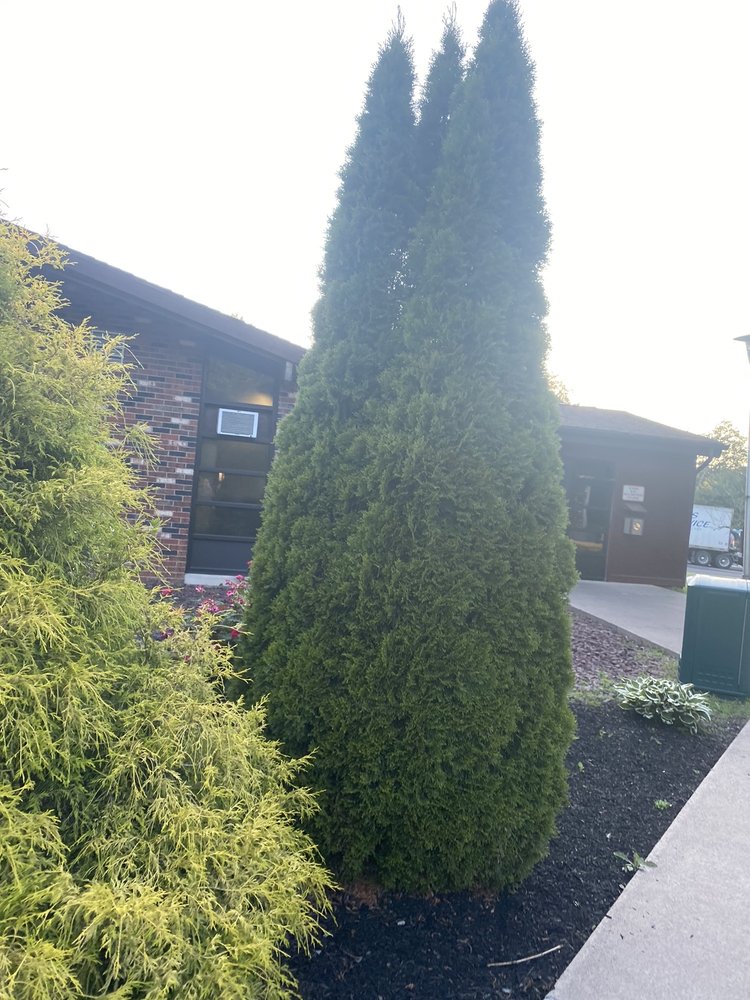 DORRANCE TOWNSHIP Libraries 7844 Blue Ridge Trl, Mountain Top, PA