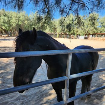 The Lazy C Ranch - Vacation Rentals Near Me - Palm Springs, California The Lazy C Ranch - Vacation Rentals Near Me - Palm Springs, California