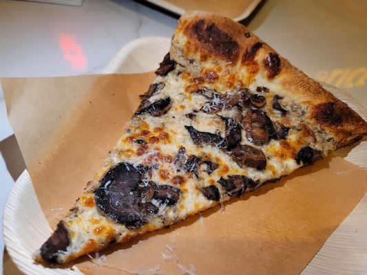 Miami Slice by null