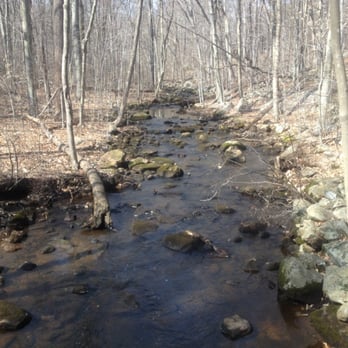 Bartlett Arboretum - Babbling Brooks - Venues & Event Spaces Near Me - Stamford, Connecticut