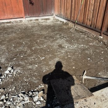 The Elevated Group - Demo complete - Tree Services Near Me - Vallejo, California The Elevated Group - Demo complete - Tree Services Near Me - Vallejo, California