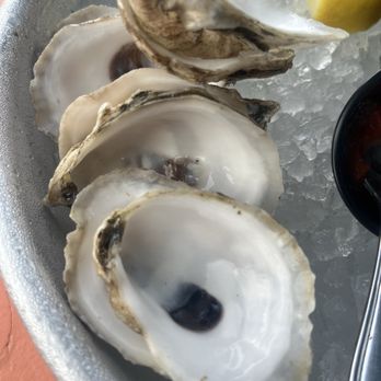 OystHERS Raw Bar & Bubbly - Super clean shells - Live/Raw Food Near Me - Bath, Maine