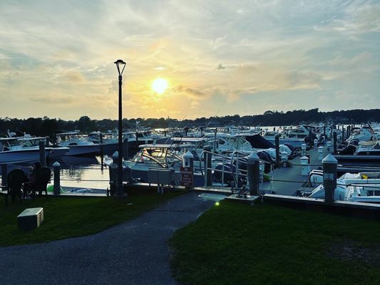 Summer Shanty by null