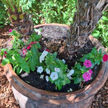 Mendoza Landscape - Landscaping Near Me Mendoza Landscape - Landscaping Near Me