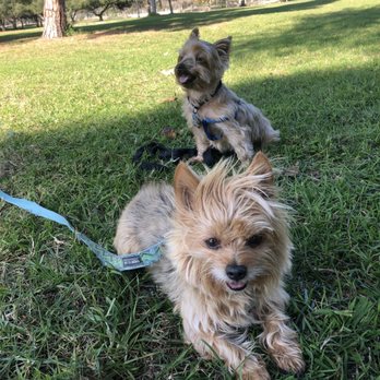 Paws in Motion DB - Pet Groomers Near Me Paws in Motion DB - Pet Groomers Near Me