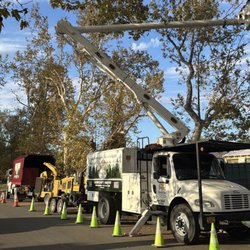 Rancho Tree Care