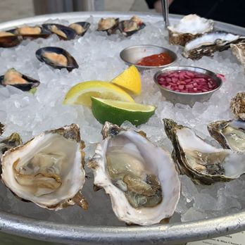 Bar Crudo - Oysters + herb mussels - Seafood Near Me - San Francisco, California
