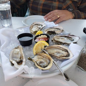 Zelda's - Oysters - Bars Near Me - Capitola, California Zelda's - Oysters - Bars Near Me - Capitola, California