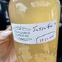 Photo of Confluence Kombucha