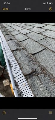 Bright Green Roof Logo