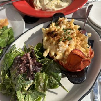 Cheesetique - Lobster mac - Cheese Shops Near Me - Alexandria, Virginia Cheesetique - Lobster mac - Cheese Shops Near Me - Alexandria, Virginia