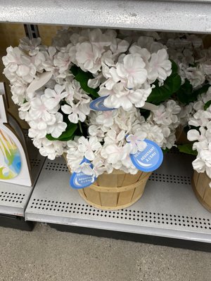 Michaels by null