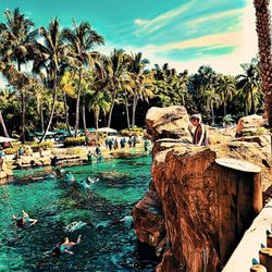 user provided Discovery Cove photo