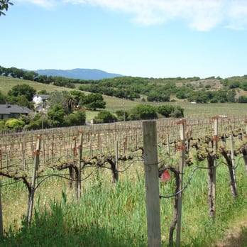 White Rock Vineyards - Wineries Near Me - Napa, California White Rock Vineyards - Wineries Near Me - Napa, California