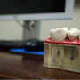 Photo of JF Lopez DDS, MD, RPh, PA