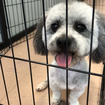 Humble Abode Pet Spa - Pet Groomers Near Me - Rex, Georgia