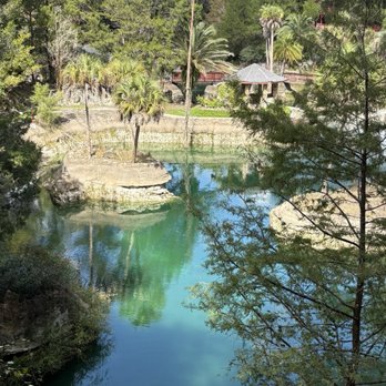 Cedar Lakes Woods and Gardens - Spring water - Botanical Gardens Near Me - Williston, Florida Cedar Lakes Woods and Gardens - Spring water - Botanical Gardens Near Me - Williston, Florida