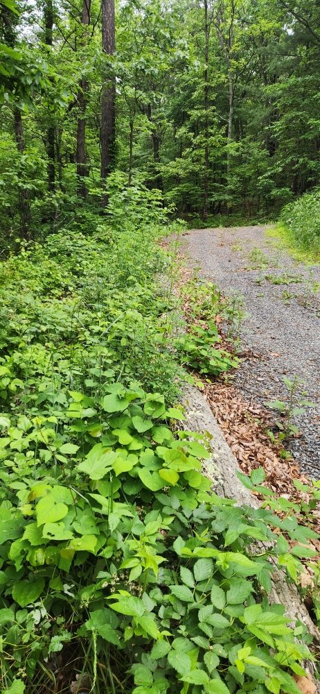 Slide of K&D Home & Property Services