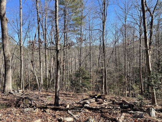 Don Carter State Park by null
