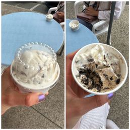 Mint Chip Ice Cream