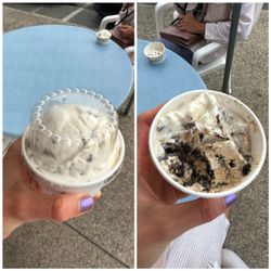 Nauset Ice Cream - Kiddie (mint chip / coffee Oreo)
