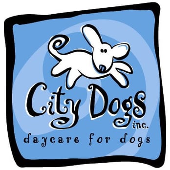 City Dogs - Pet Sitting Near Me - Washington, DC, District of Columbia