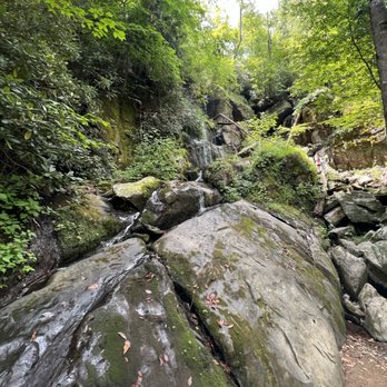 Roaring Fork Motor Nature Trail - Hiking Near Me