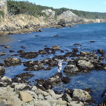 Salt Point State Park - Fisk Cove - Parks Near Me - Jenner, California