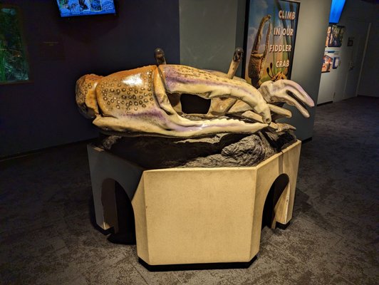 North Carolina Aquarium at Fort Fisher by null