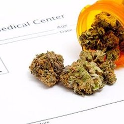 Central Gilbert Medical Marijuana Card Doctors