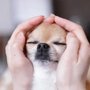 Photo of Jennie's Reiki