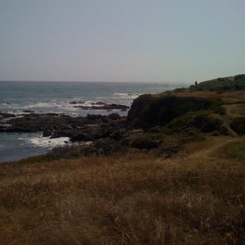 Fiscalini Ranch Preserve - Trail going North - Beaches Near Me - Cambria, California