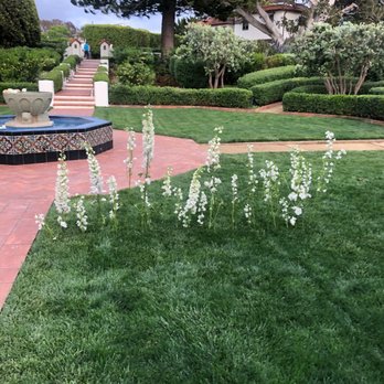 Always Flawless Productions - Wedding Planning Near Me Always Flawless Productions - Wedding Planning Near Me