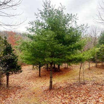 Won Dharma Center - Buddhist Temples Near Me - Claverack, New York Won Dharma Center - Buddhist Temples Near Me - Claverack, New York